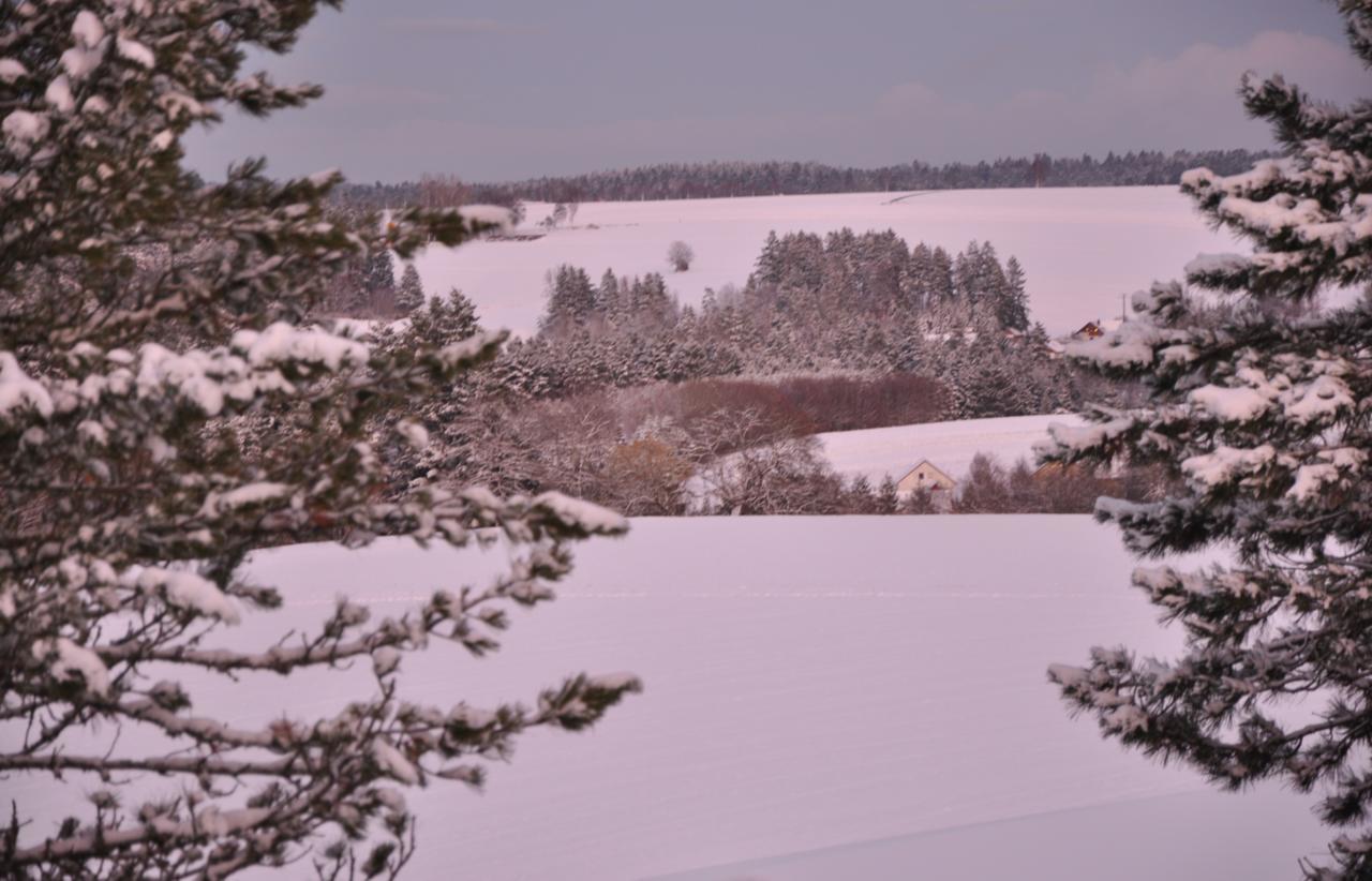 Landhotel Krone อัลเพียร์สบาค ภายนอก รูปภาพ