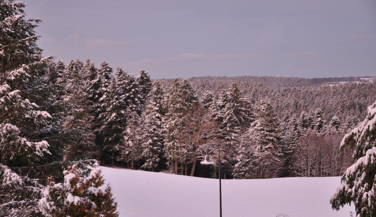 Landhotel Krone อัลเพียร์สบาค ภายนอก รูปภาพ